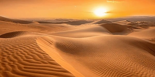 Desert Land